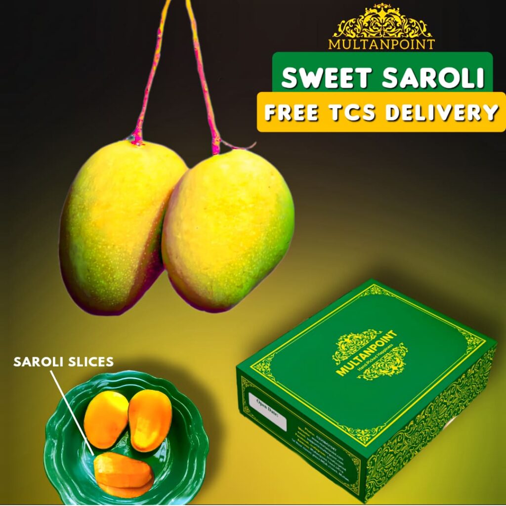 Saroli Mango Export Quality (Fast & Free TCS Delivery) Multanpoint