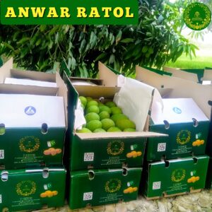 Anwar Ratol Export Quality 09-10 kg Box (Free Delivery)
