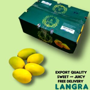 Sweet Langra Mango Export Quality (9-10kg) Box