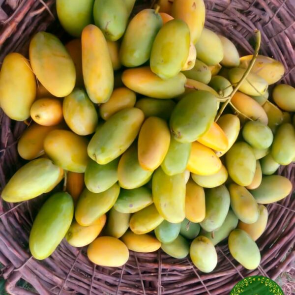 Dusehri Mango