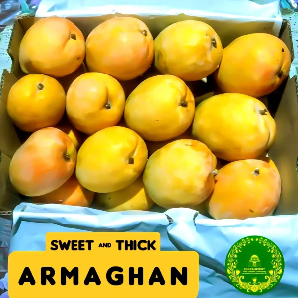 Armaghan Mango