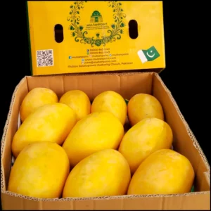 Multani White Chaunsa (NAWABPURI) Gift Box 9.5 to10kg - Free Home Delivery