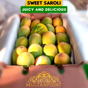 Saroli Mango Export Quality (Fast & Free TCS Delivery)