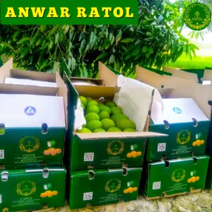 Anwar Ratol Mango