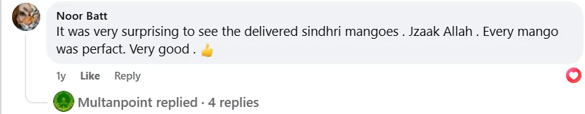 Mangoes review of Sindhri