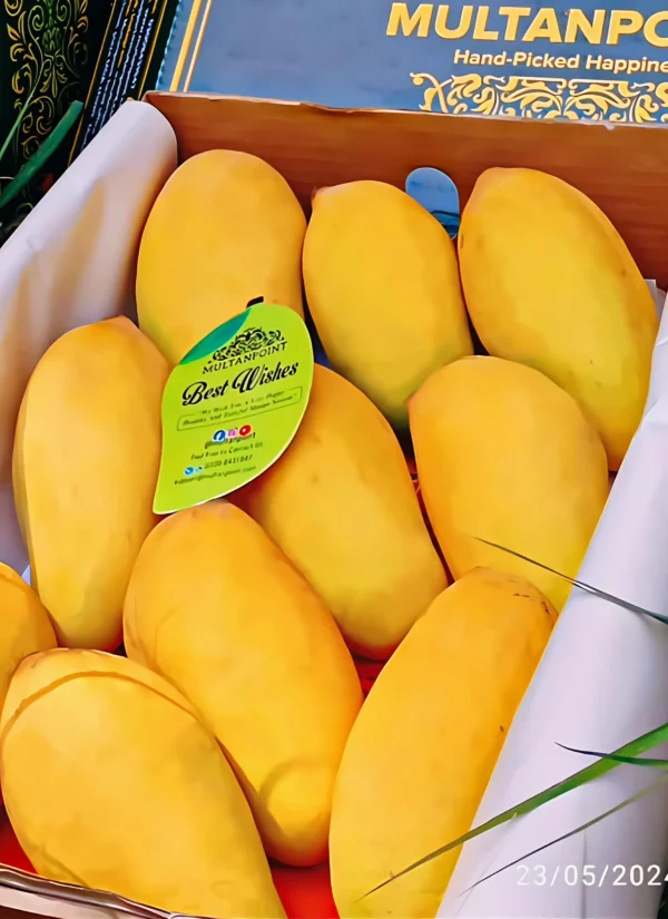 KING SIZE SINDHRI (500G to 1Kg)