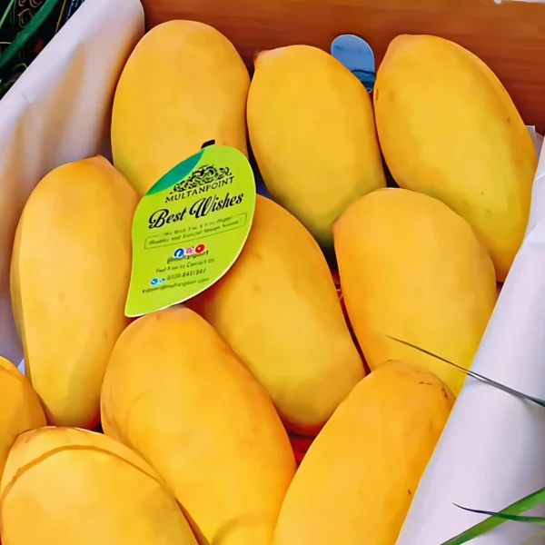 KING SIZE SINDHRI (500G to 1Kg)