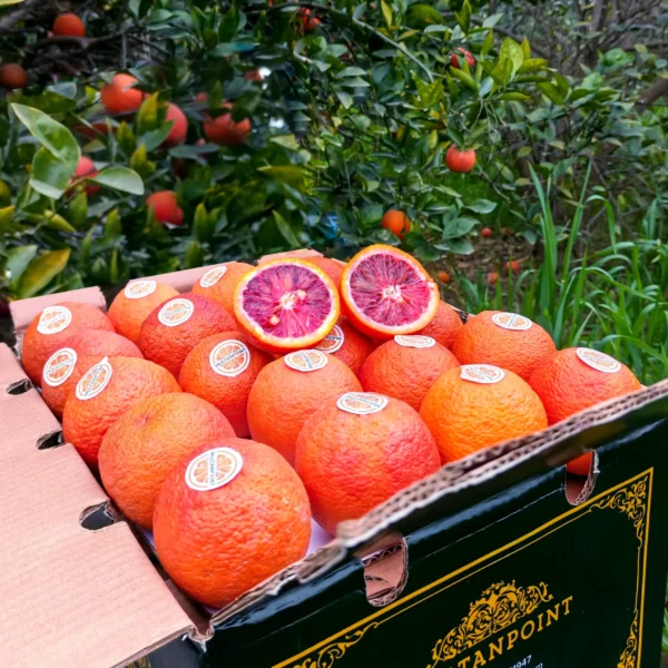 Redblood Orange Malta