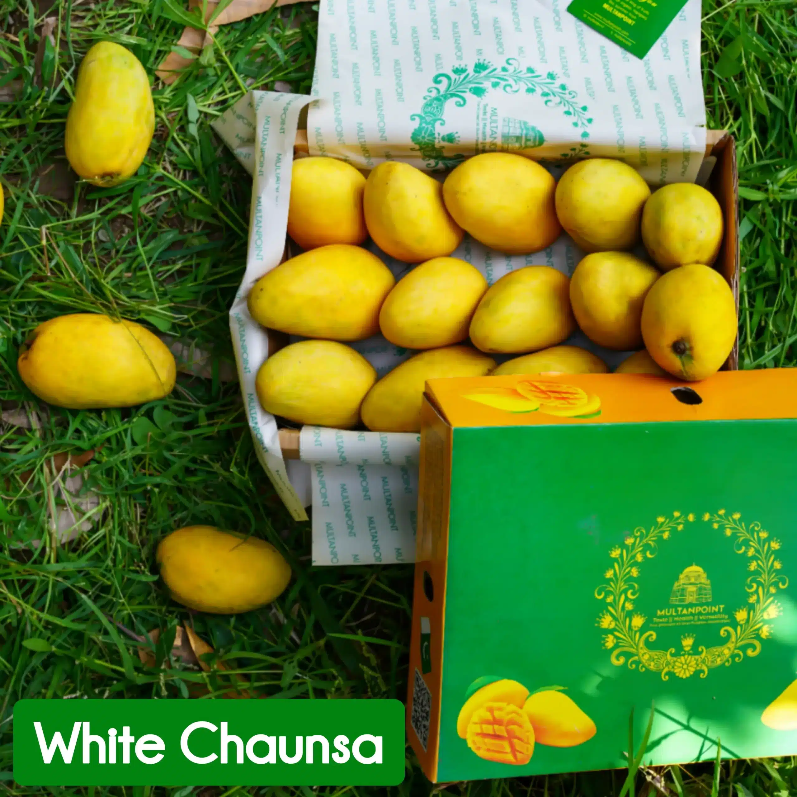 Multani White Chaunsa Export Grade (Free TCS Delivery) - Image 4