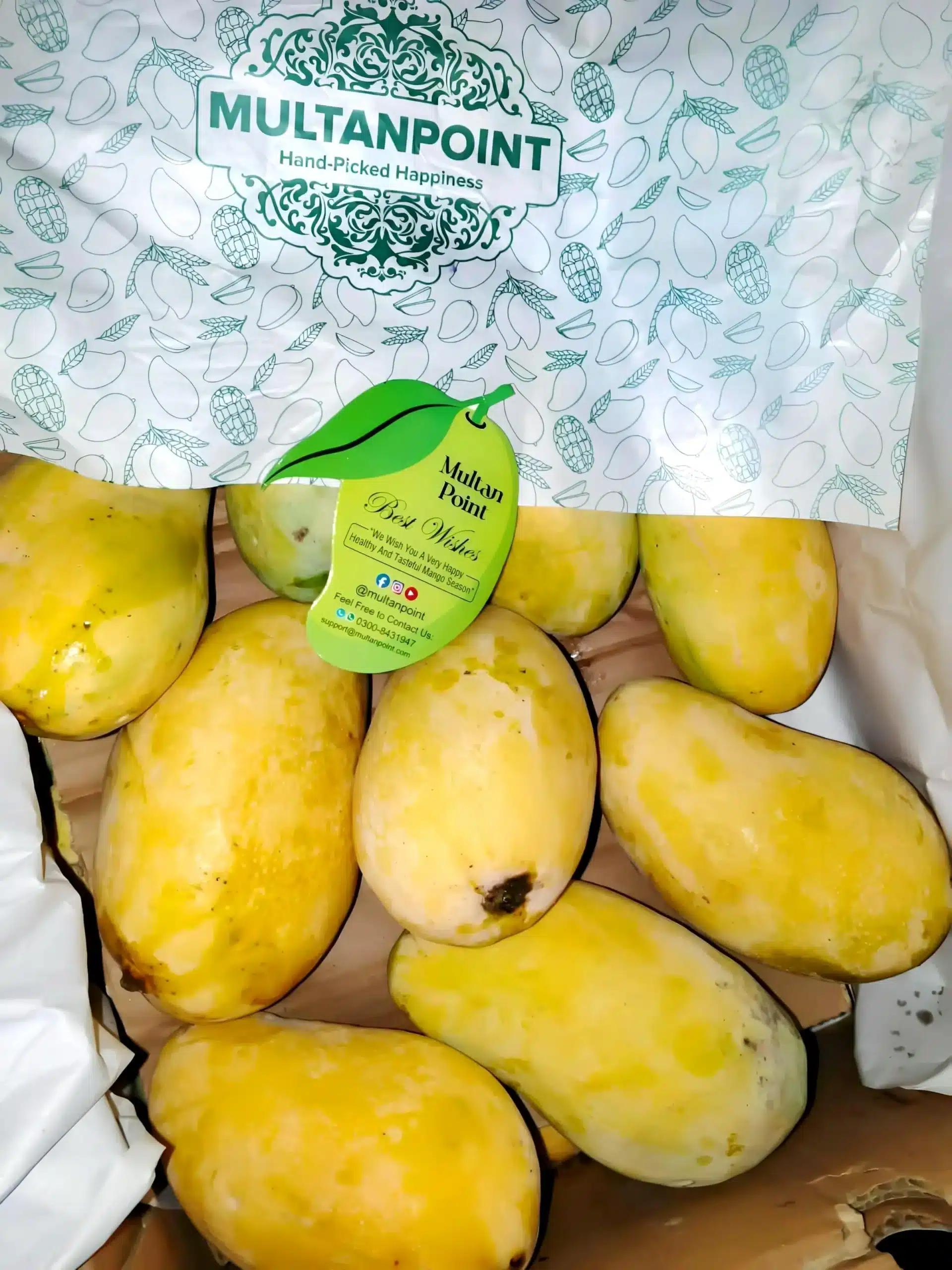 Multani White Chaunsa Export Grade (Free TCS Delivery) - Image 7