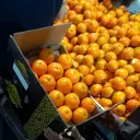 Kinnow Export Process Packing