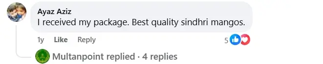 Mangoes review of Sindhri