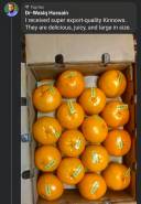 Kinnow Review 12 (1)