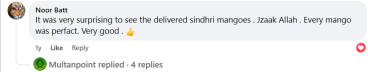 Mangoes review of the Sindhri