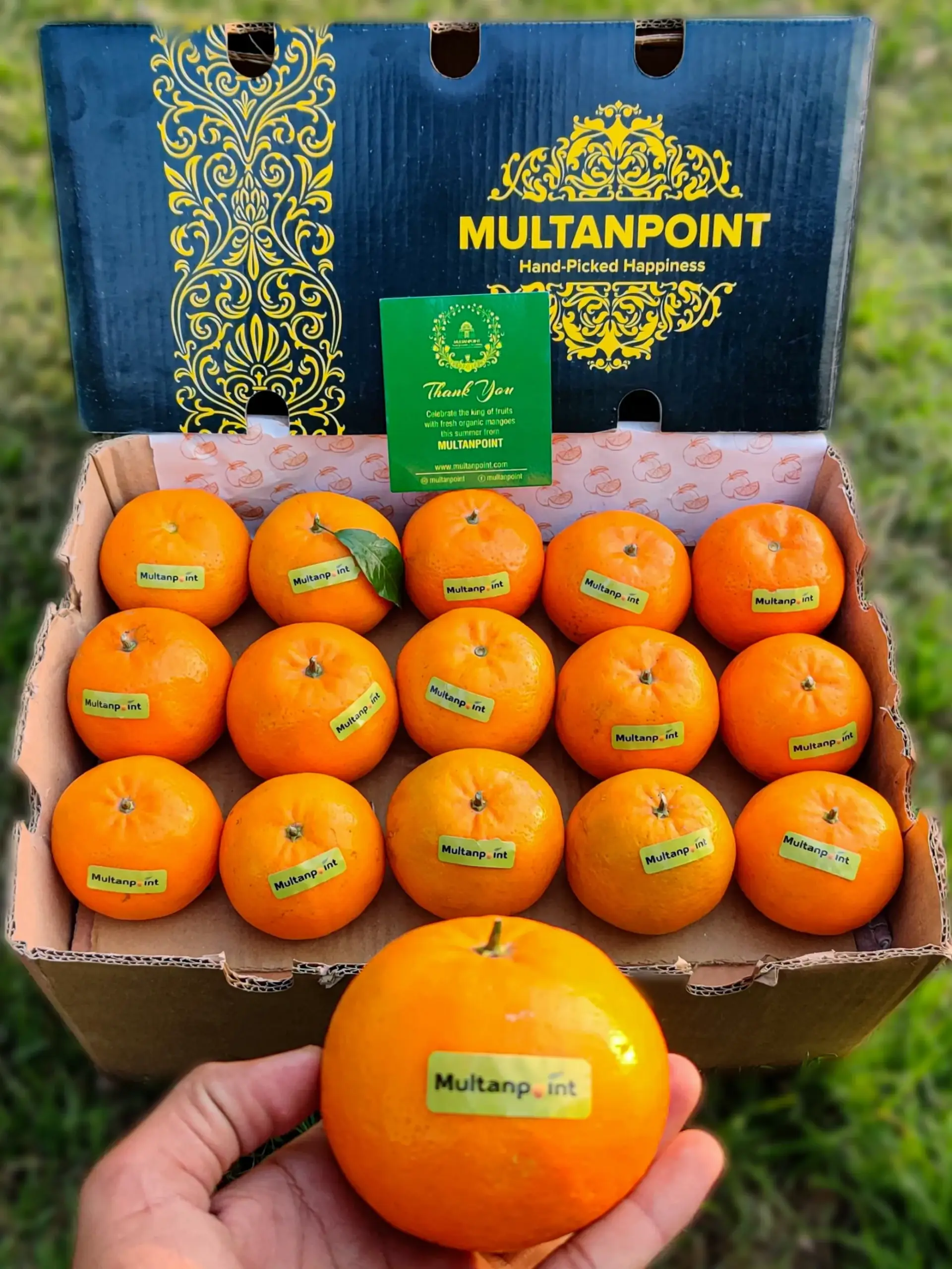 Kinnow Orange Export Quality