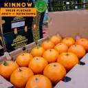 Kinnow Garden
