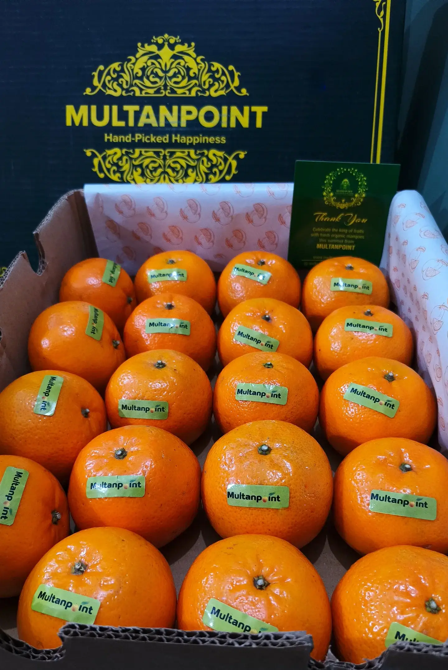 Kinnow MultanPoint