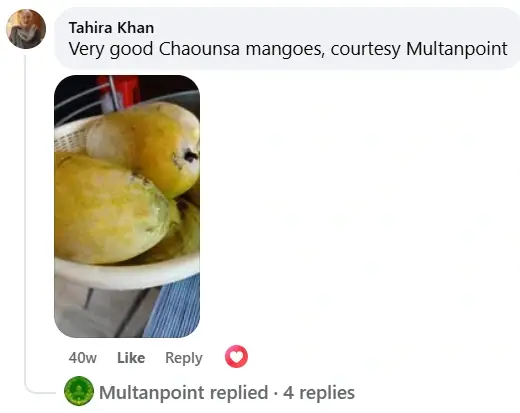 White Chaunsa Mango Review